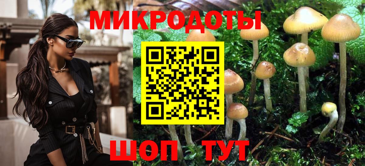 Псилоцибиновые грибы Psilocybine cubensis  Галлюциногенные грибы Psilocybe  Бердск  Вход с VPN 