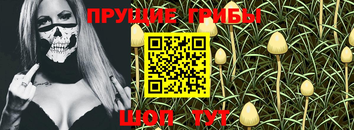 Галлюциногенные грибы MAGIC MUSHROOMS Бердск