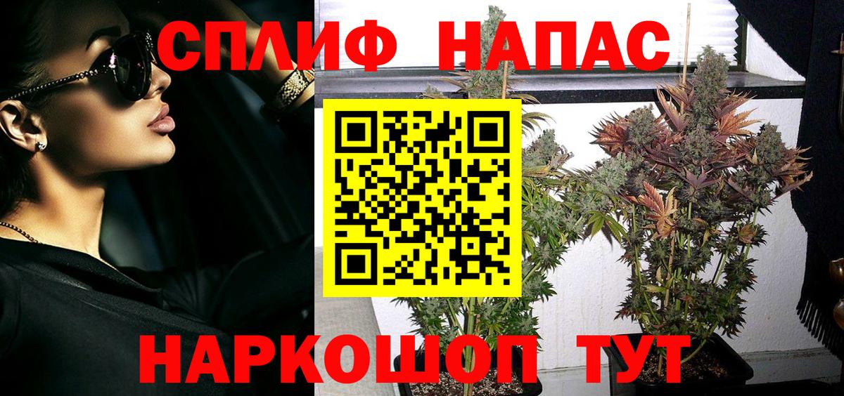 Шишки марихуана Amnesia  МАРИХУАНА LSD WEED  Бердск  Вход с VPN  Шишки марихуана Ganja 